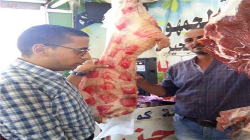 الطب البيطرى