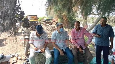 زراعة كفر الشيخ: تنفيذ المدارس الحقلية للنهوض بمحصول الأرز والمحاصيل الصيفية