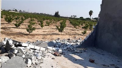 اللواء هشام آمنة شدد على إزالة التعديات على الأراضى الزراعية بالبحيرة 