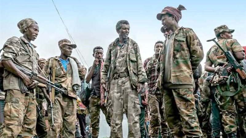 قوات التيجراي