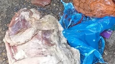 محافظ الإسكندرية يشدد على ضبط السلع الفاسدة ومجهولة المصدر