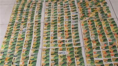 إصدار ١٠١١٧ بطاقة تموينية مستجدة وبدل تالف وفاقد بالبحيرة