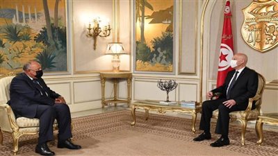 عاجل| شكري يؤكد ثقة مصر في قدرة القيادة التونسية على تجاوز الظروف الحالية