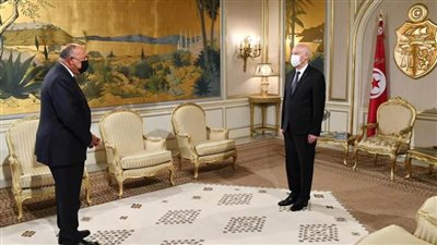 الرئيس التونسي يستقبل سامح شكري بقصر قرطاج الرئاسي