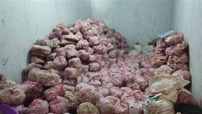 بيطري الشرقية يُحرر 9 محاضر مخالفة لثلاجتي حفظ لحوم ومحلات جزارة 