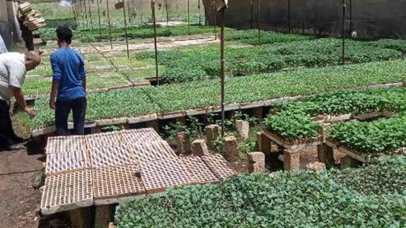 صورة أرشيفة