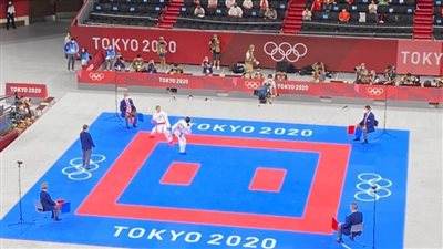 تعرف على إنجازات جيانا فاروق