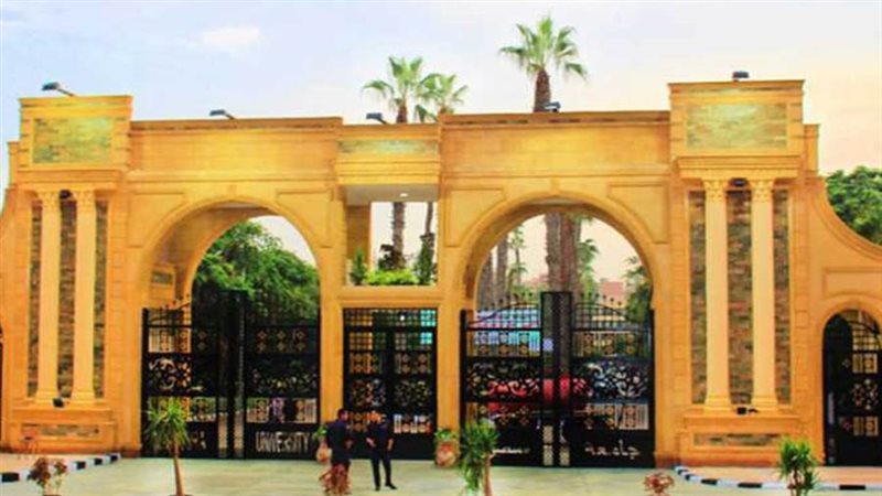جامعة المنصورة