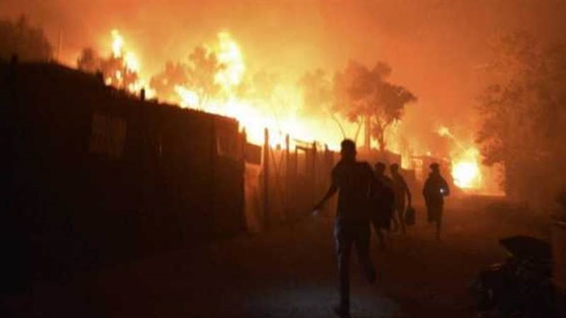 حرائق الغابات