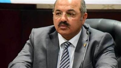 هشام حطب: ربع البعثة المصرية حققوا المطلوب في الأولمبياد