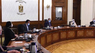 رئيس الوزراء: الحكومة تعمل على التوسع في توطين صناعة الدواء