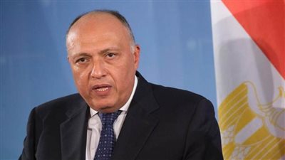 وزير الخارجية يزور المنامة وينقل رسالةً من الرئيس السيسي إلى ملك البحرين