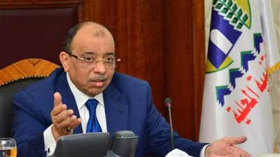 وزير التنمية المحلية يهنئ الرئيس السيسى بمناسبة العام الهجري الجديد