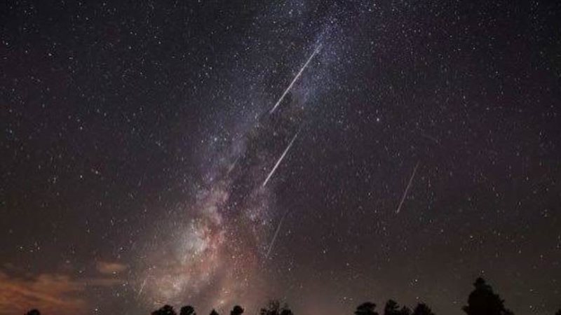 شهب البرشاويات