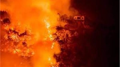 سلطنة عمان تعزي الجزائر حكومة وشعبًا في ضحايا حرائق الغابات