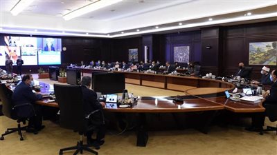 تحديد أسعار البيوت الريفية وتبطين الترع.. أبرز قرارات اجتماع الوزراء الـ155