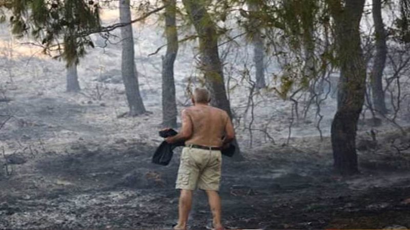 حرائق الغابات في