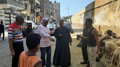  إزالة الإشغالات وأحوزة المواشي من شوارع حي غرب الإسكندرية