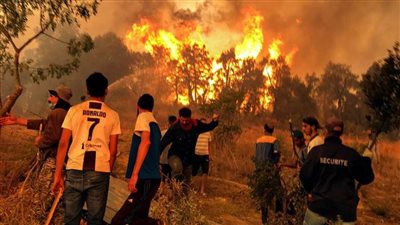 الحماية المدنية الجزائرية: إخماد 76 حريقا في 15 ولاية خلال 24 ساعة