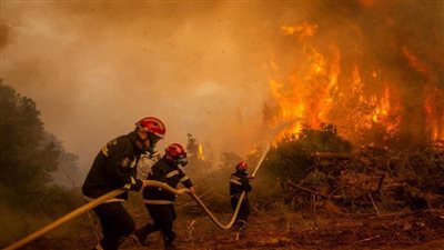 تونس تعلن السيطرة على حرائق الغابات عند الحدود مع الجزائر