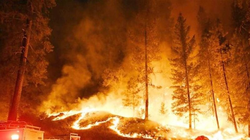 صورة أرشيفية