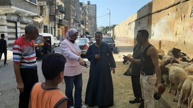 بوابة روز اليوسف