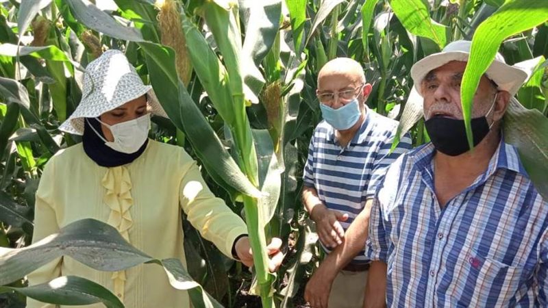 المرور على زراعات