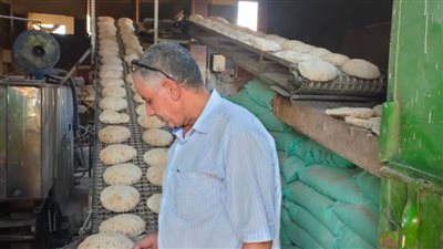 تحرير ١١ محضرا لمخابز بلدية في حملة تموينية بالبحيرة