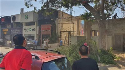 في حضور رئيس نادي الترسانة.. تهذيب الأشجار أمام بوابة الترسانة للدرجة الثالثة لإعادة تجديده