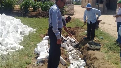 إزالة 13 حالة تعدٍ على الأراضي الزراعية بالبحيرة