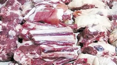 التحفظ علي 3.5 طن لحوم مجمدة فاسدة داخل ثلاجة بدون ترخيص بالإسكندرية 