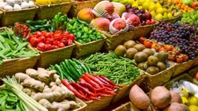 الزراعة: ارتفاع صادرات مصر الزراعية لأكثر من 4.4 مليون طن حتى الآن