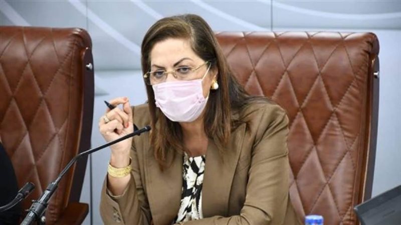 وزيرة التخطيط