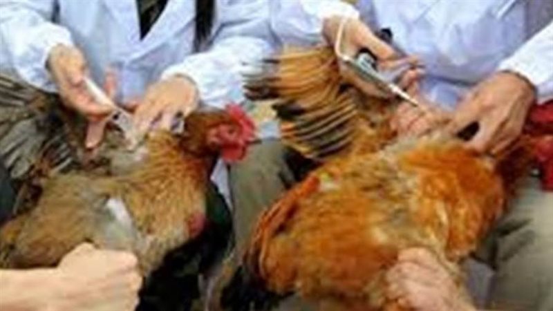 تحصين نحو 40 ألف