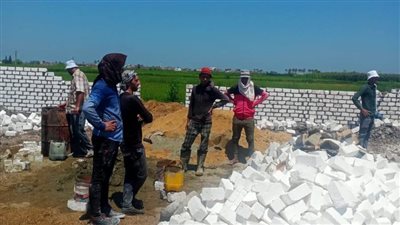 إزالة 15 حالة تعدٍ على الأراضي الزراعية في حملة بالبحيرة