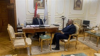 محافظ القاهرة يجتمع بمدير 
