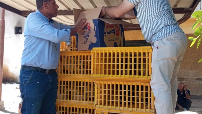 توزيع الطيور ضمن