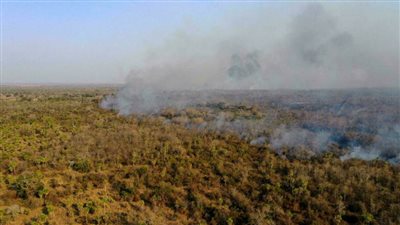 حرائق مفتعلة تجتاح محميات بيئية في بوليفيا