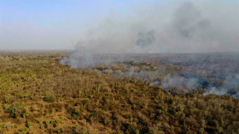 صورة ارشيفية