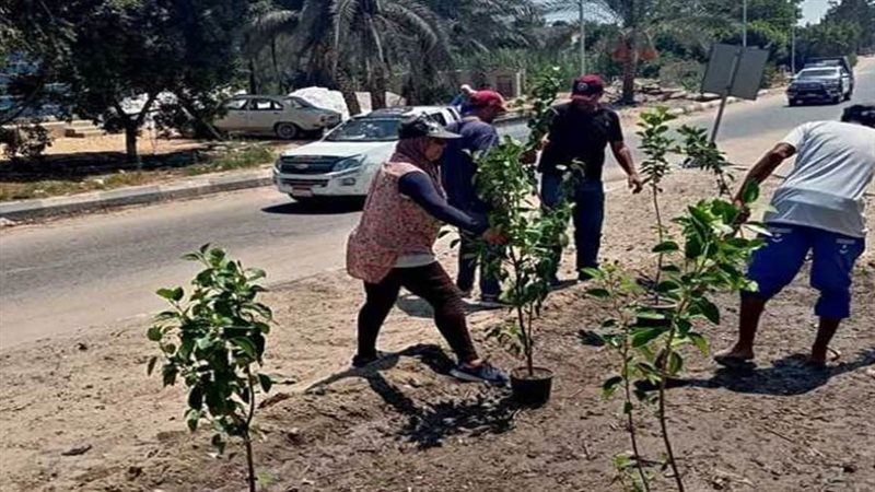 الإسماعيلية