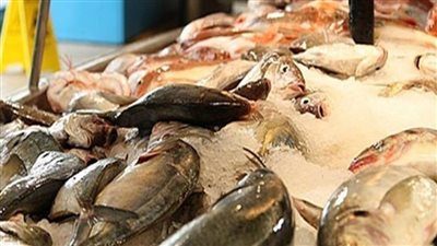 الحكومة الكينية تنفي أي نية لحظر استيراد الأسماك من الصين