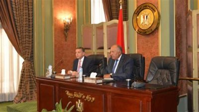 شكري لسفراء مصر: الاستمرار في تنفيذ أولويات السياسة الخارجية ونهجها الساعي إلى صون الأمن القومي 
