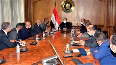 نيفين جامع: حريصون على جذب الشركات العالمية لتوطين صناعة السيارات