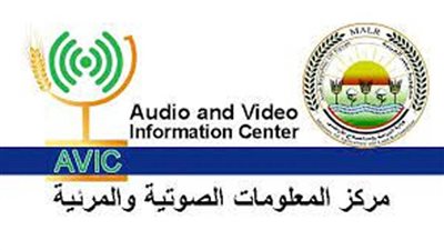 بالانفوجراف والفيديو| 