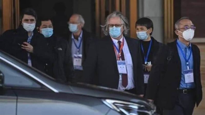 فريق خبراء منظمة