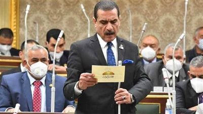 عضو خارجية النواب: الأزمة الليبية شهدت تحولًا جذريًا بفضل الوساطة والدبلوماسية المصرية