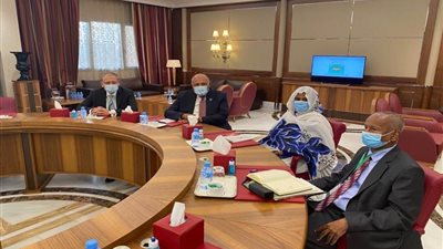 شكرى يبحث مع نظيرته السودانية الملفات ذات الأولوية