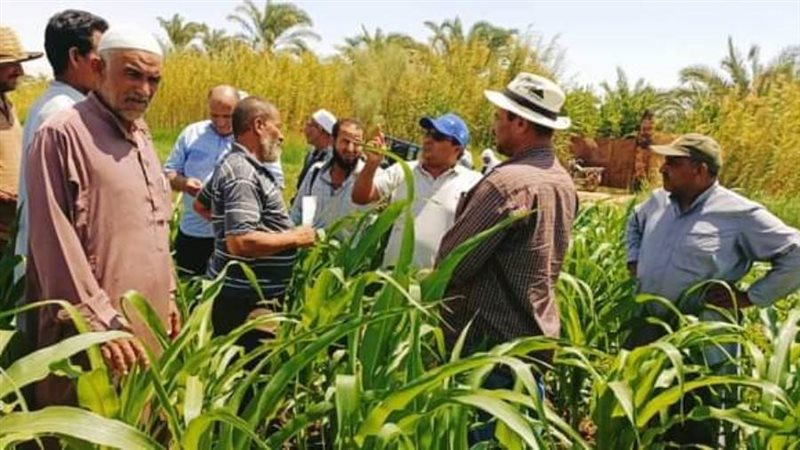 متابعه ميدانيه لمزارع