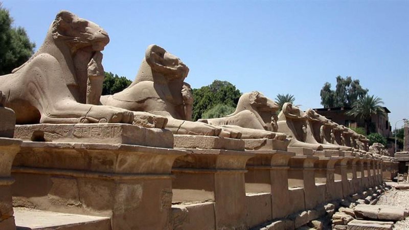 طريق الكباش