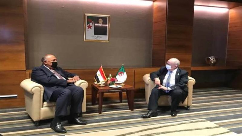 سامح شكري وزير الخارجية